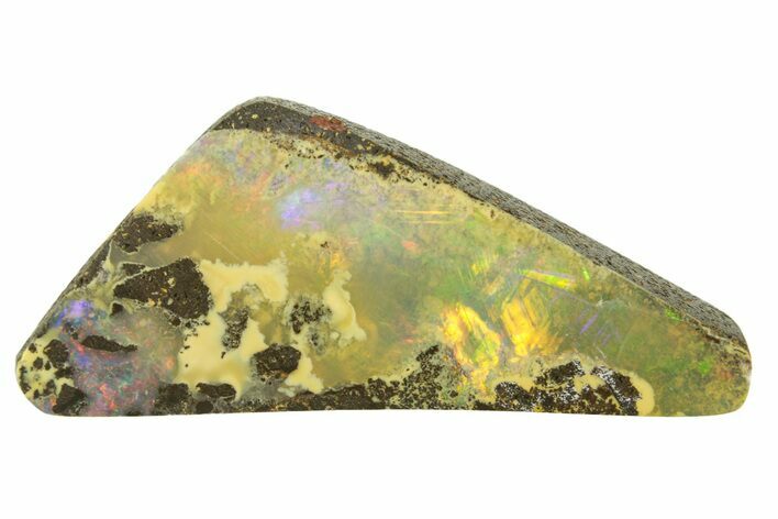 Mesmerizing Boulder Opal Specimen - Queensland, Australia #381748